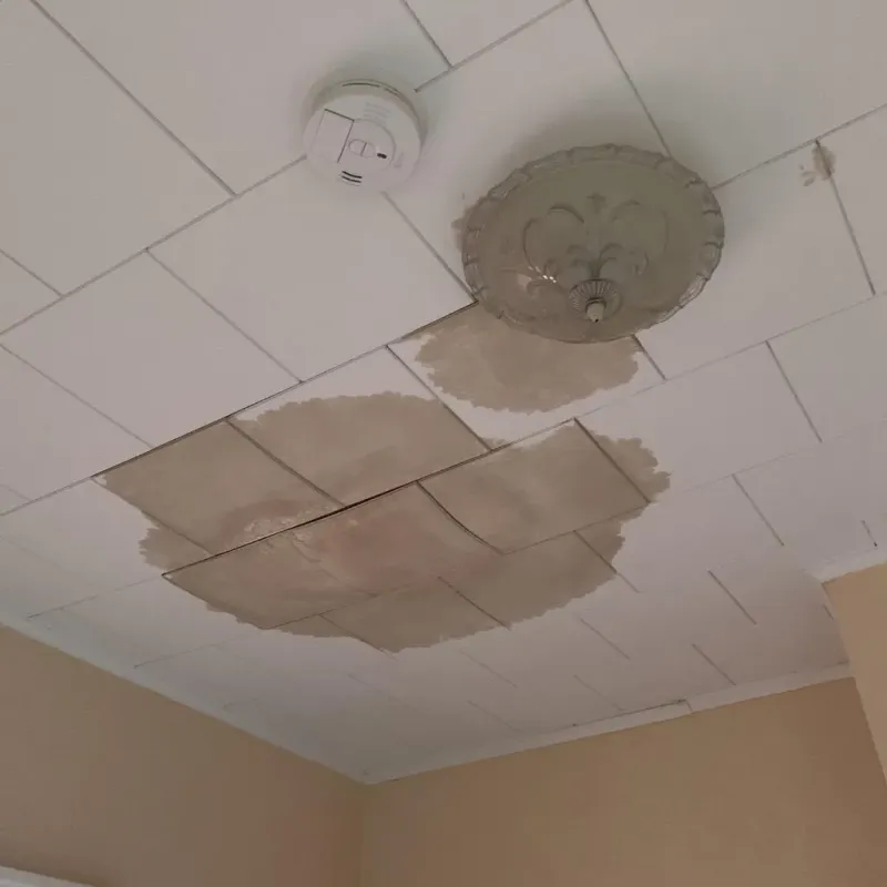 Ceiling Water Damage Repair in Laverne, OK