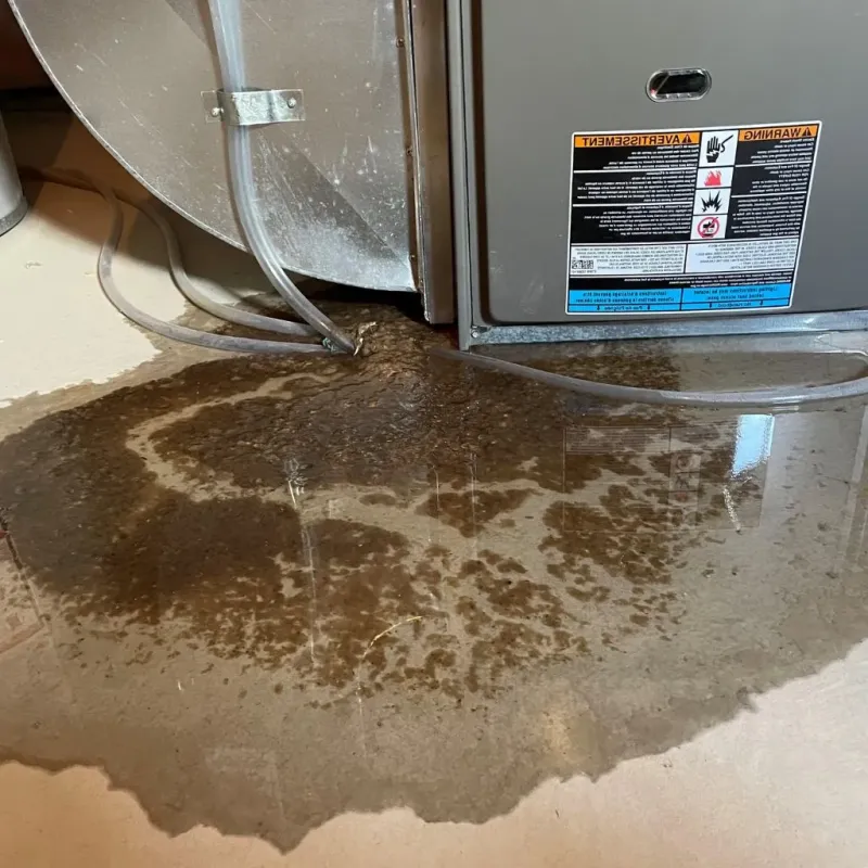Pipe Burst and Leak Restoration in Laverne, OK