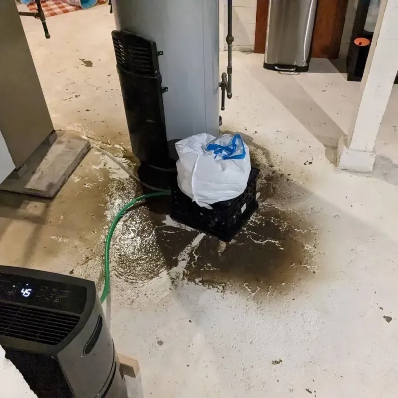 Sewage Backup Cleanup Service in Laverne, OK
